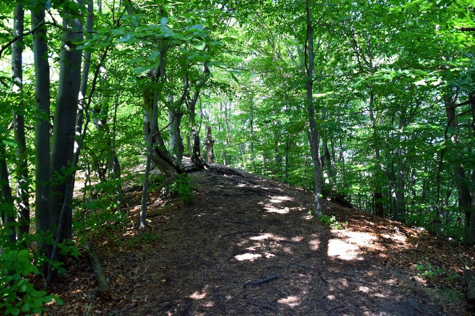 chodník na vrchol