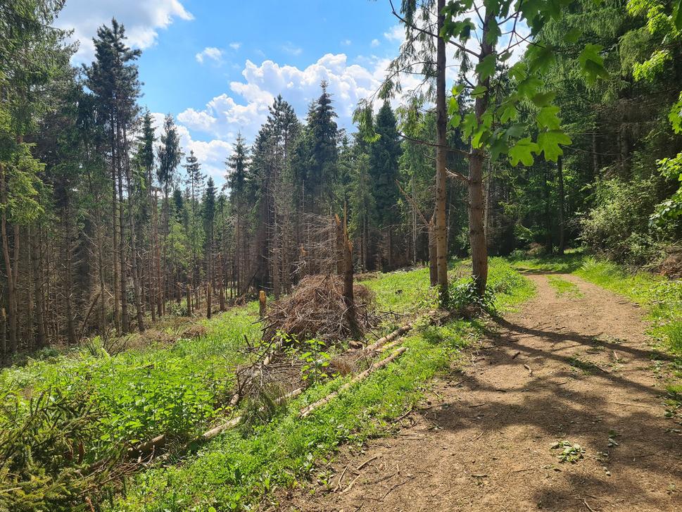Smerom k Brzotínskej skale