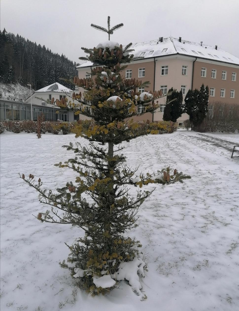 tento už je ozdobený (trocha bizarne)