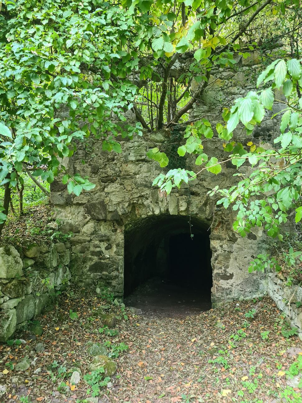 Pivnica pod hradom