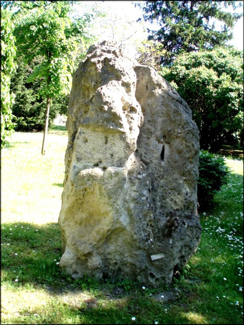 Obrázok blogu