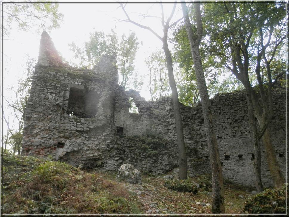 Obrázok blogu