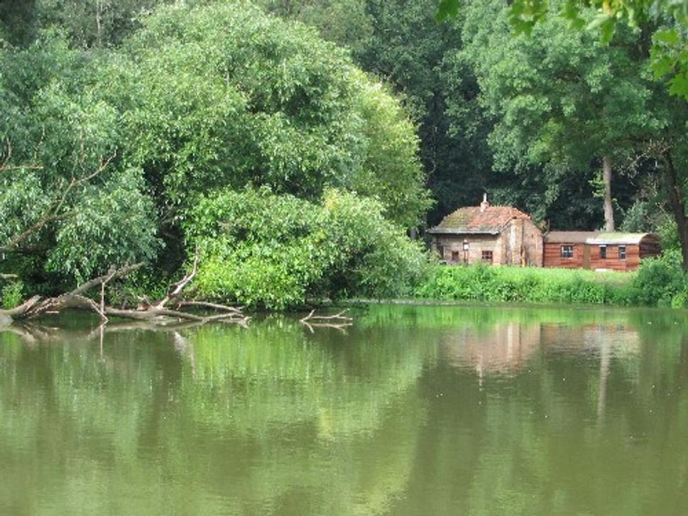 Obrázok blogu