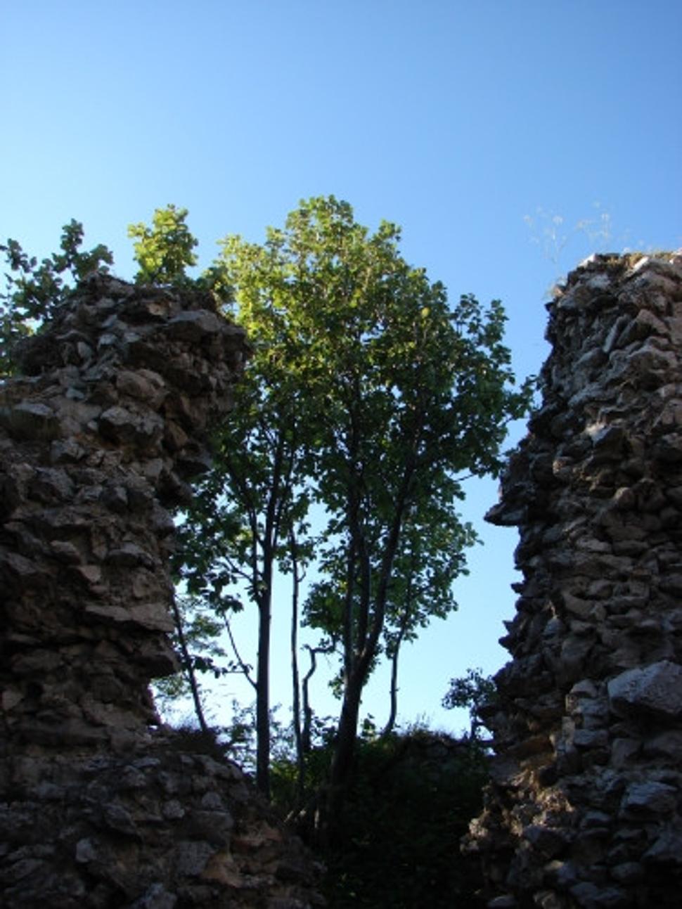 Obrázok blogu