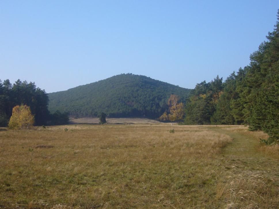 Obrázok blogu