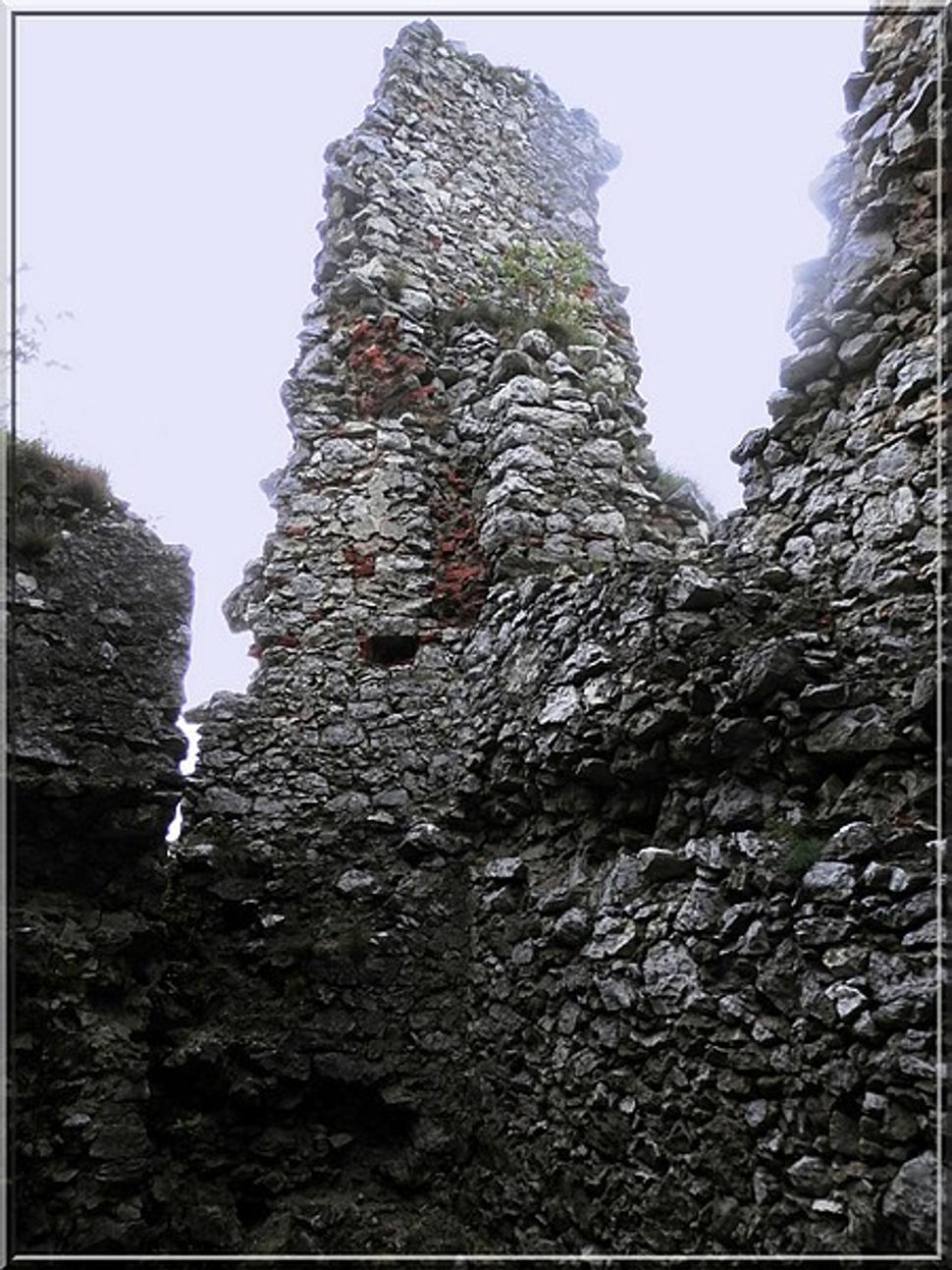 Obrázok blogu