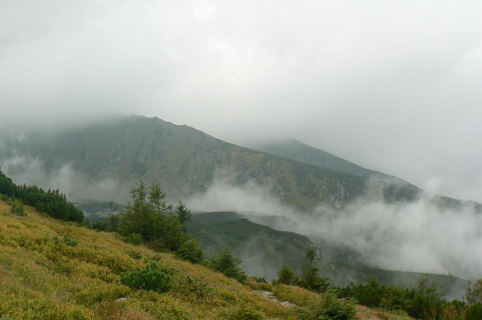 Scenéria prírody cestou na Chopok