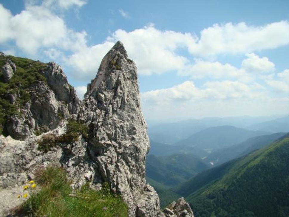 Obrázok blogu