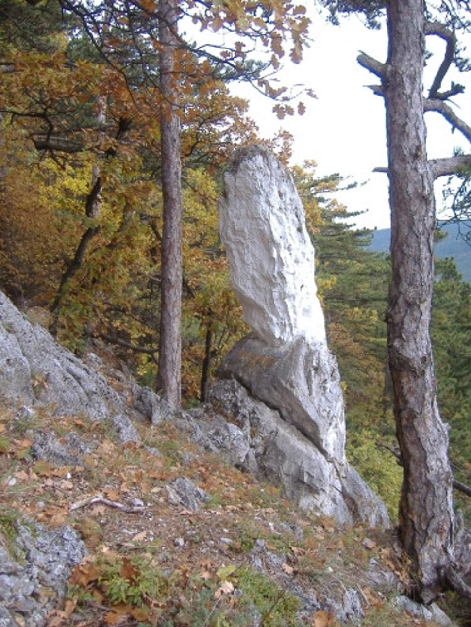 Obrázok blogu
