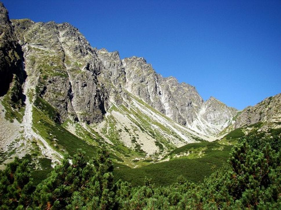 Obrázok blogu