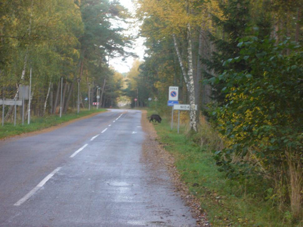 Obrázok blogu
