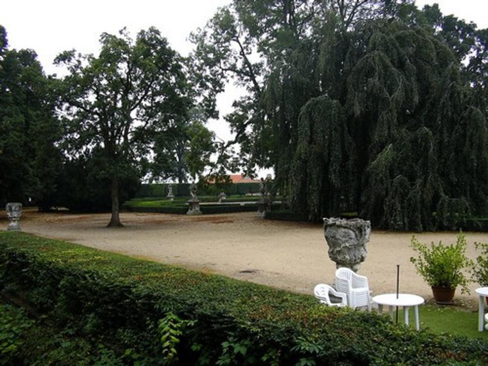 Obrázok blogu