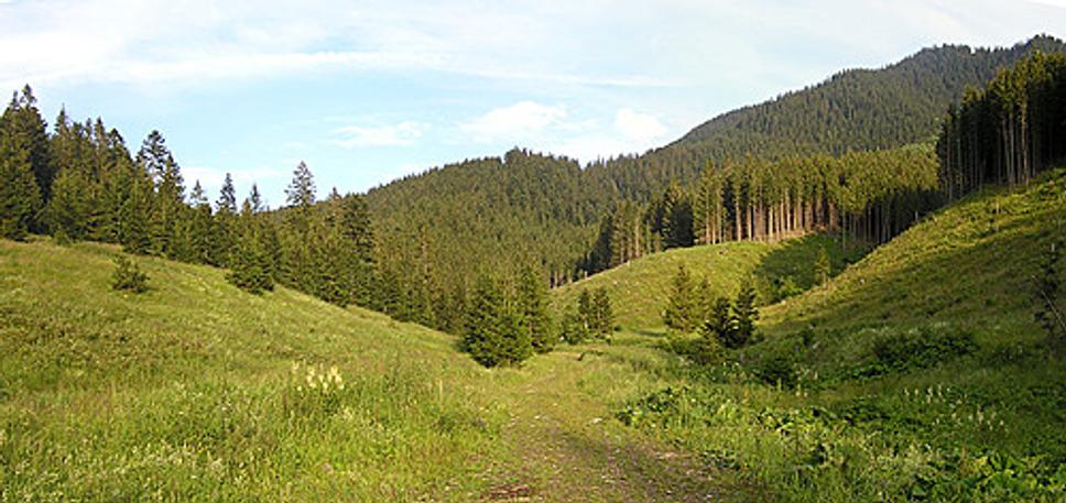 Obrázok blogu