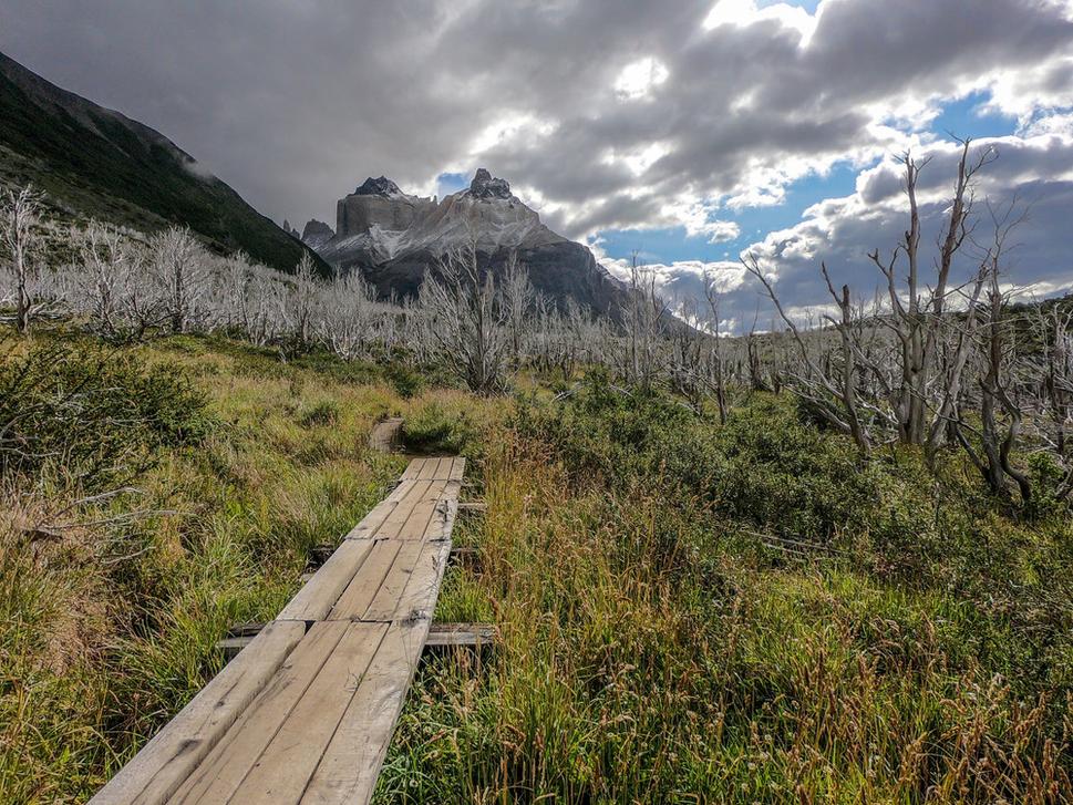 Trek z Paine Grande do Los Cuernos a pohľad na spálené stromy