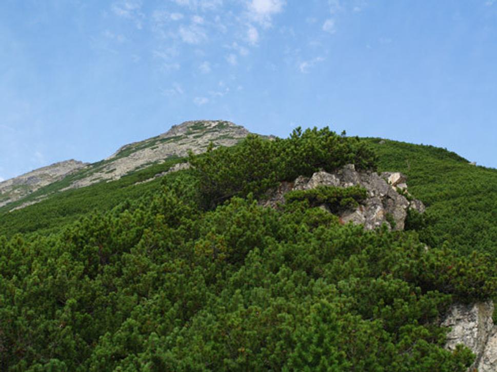 Obrázok blogu