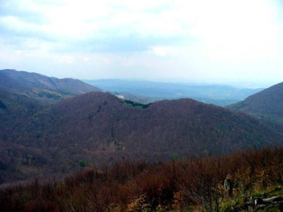 Obrázok blogu