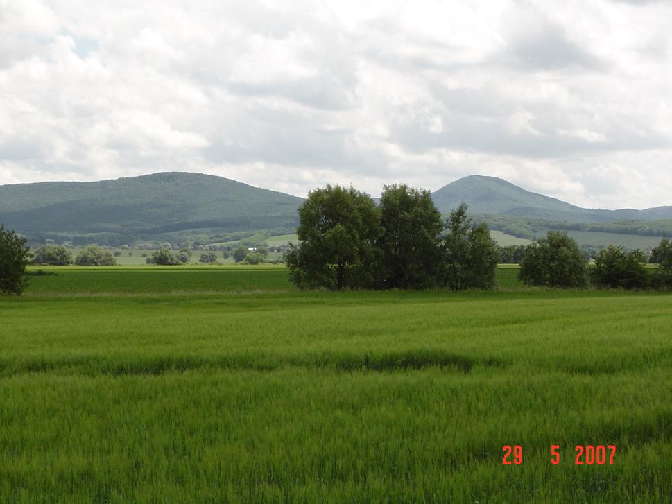 Obrázok blogu