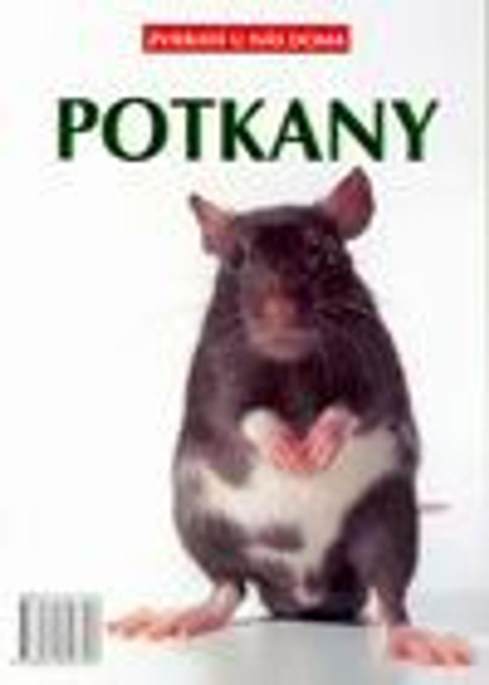 Obrázok blogu