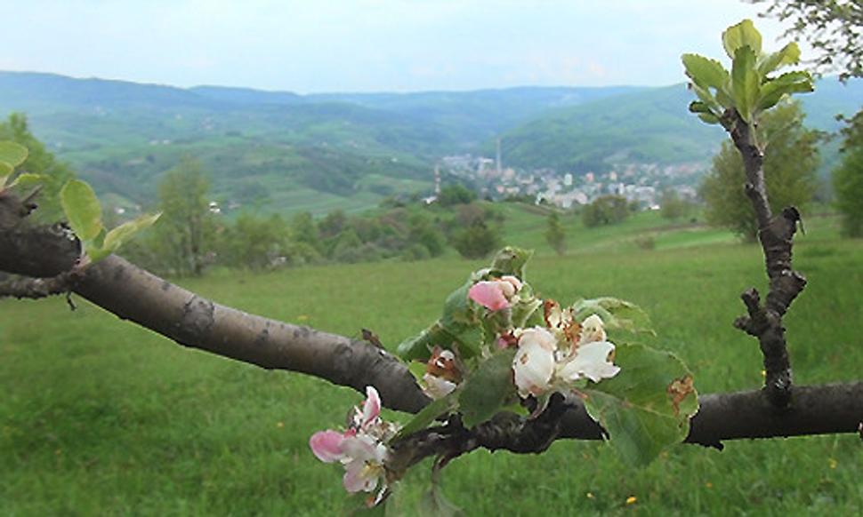 Obrázok blogu