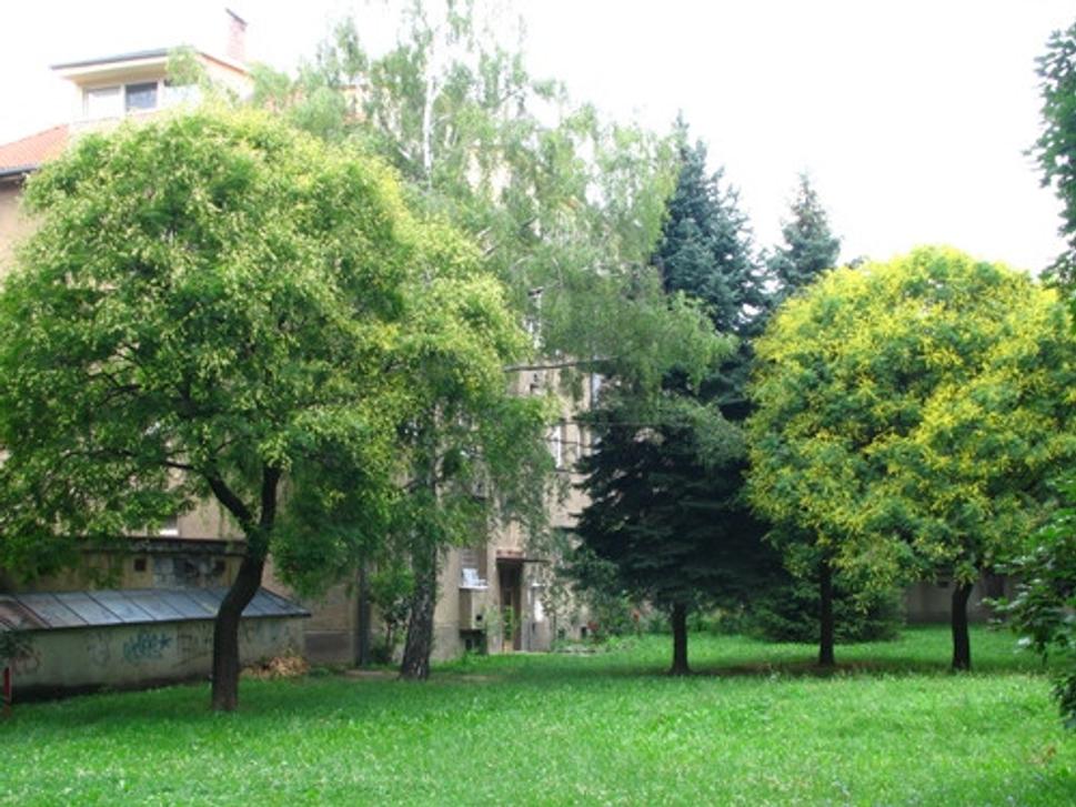 Obrázok blogu
