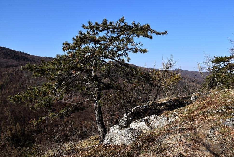 Dobrolínske skaly