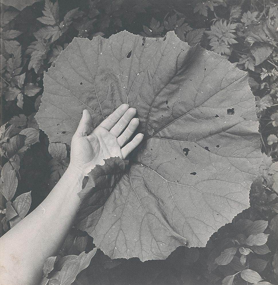 Michal Kern: Z cyklu Lopúchy, alebo Čiary života (1979).