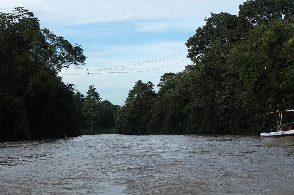 Rieka Kinabatangan