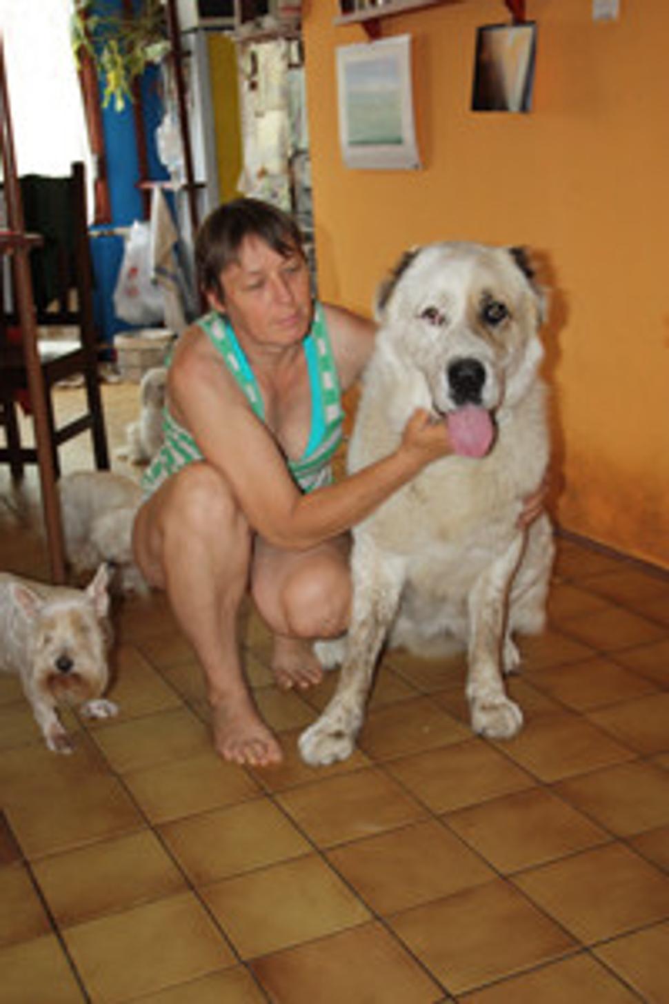Obrázok blogu