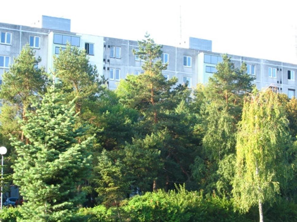 Obrázok blogu
