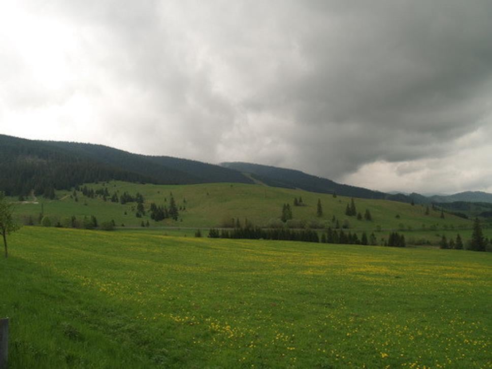 Obrázok blogu