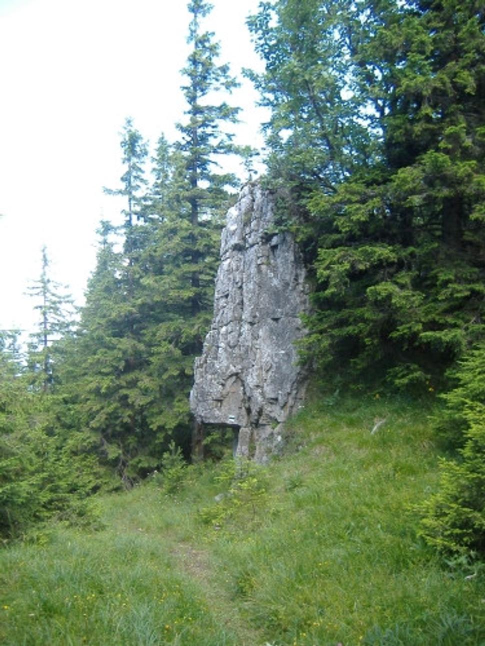Obrázok blogu