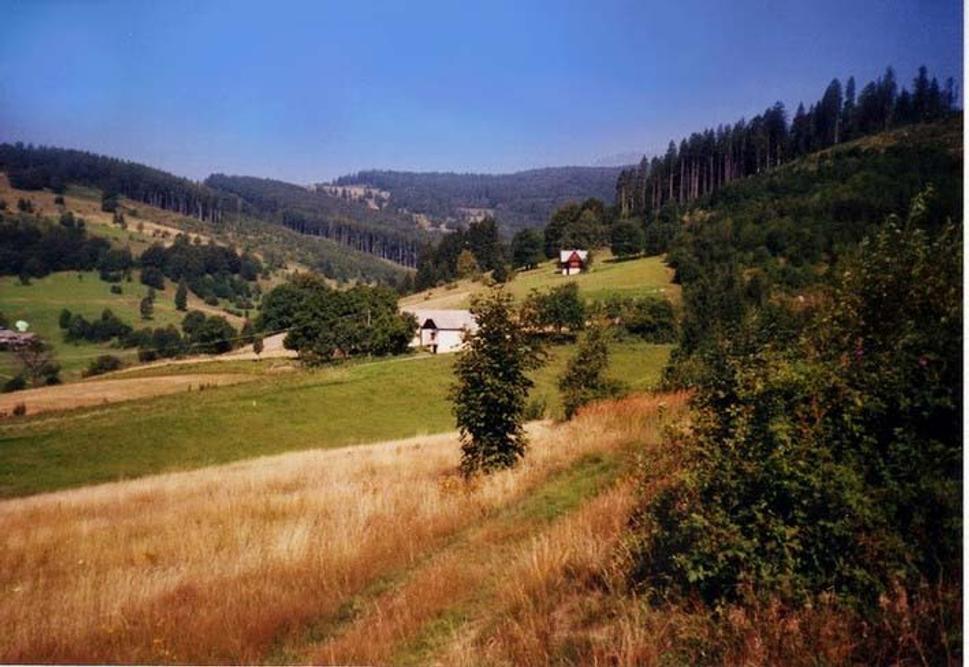 Obrázok blogu