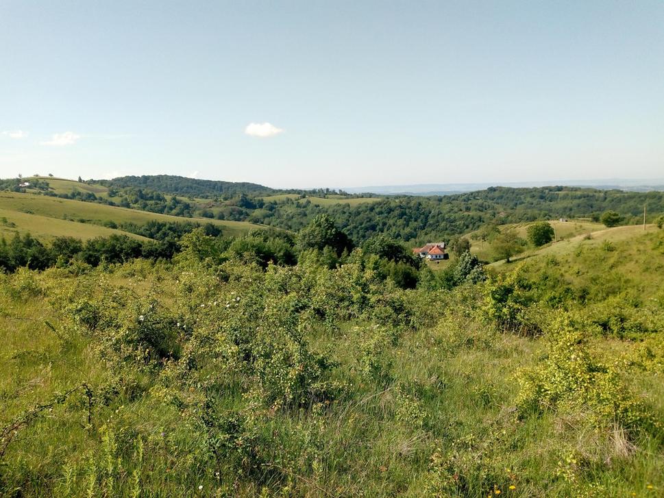 Dom, dlho dlho nič a znova dom - lazy a samoty; aj taký je obraz rumunských Slovákov