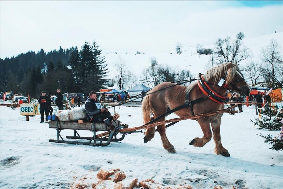 Hore: Súťažiaci furman dobieha do cieľovej rovinky, pred ktorou musí zo saní vyložiť päť drevených brvien a dva balíky slamy.