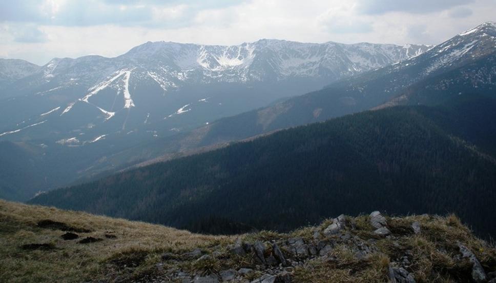 Obrázok blogu