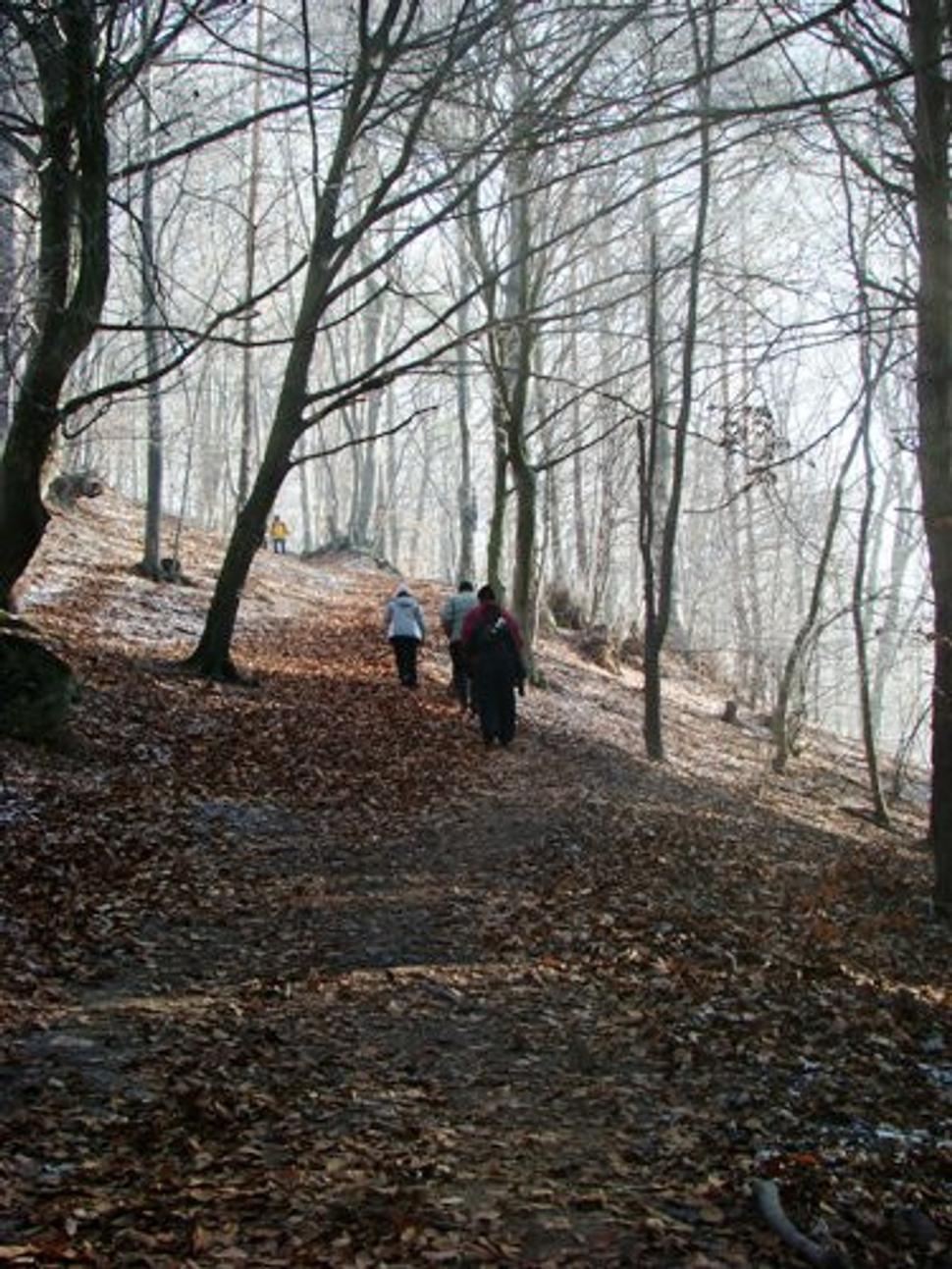 Obrázok blogu