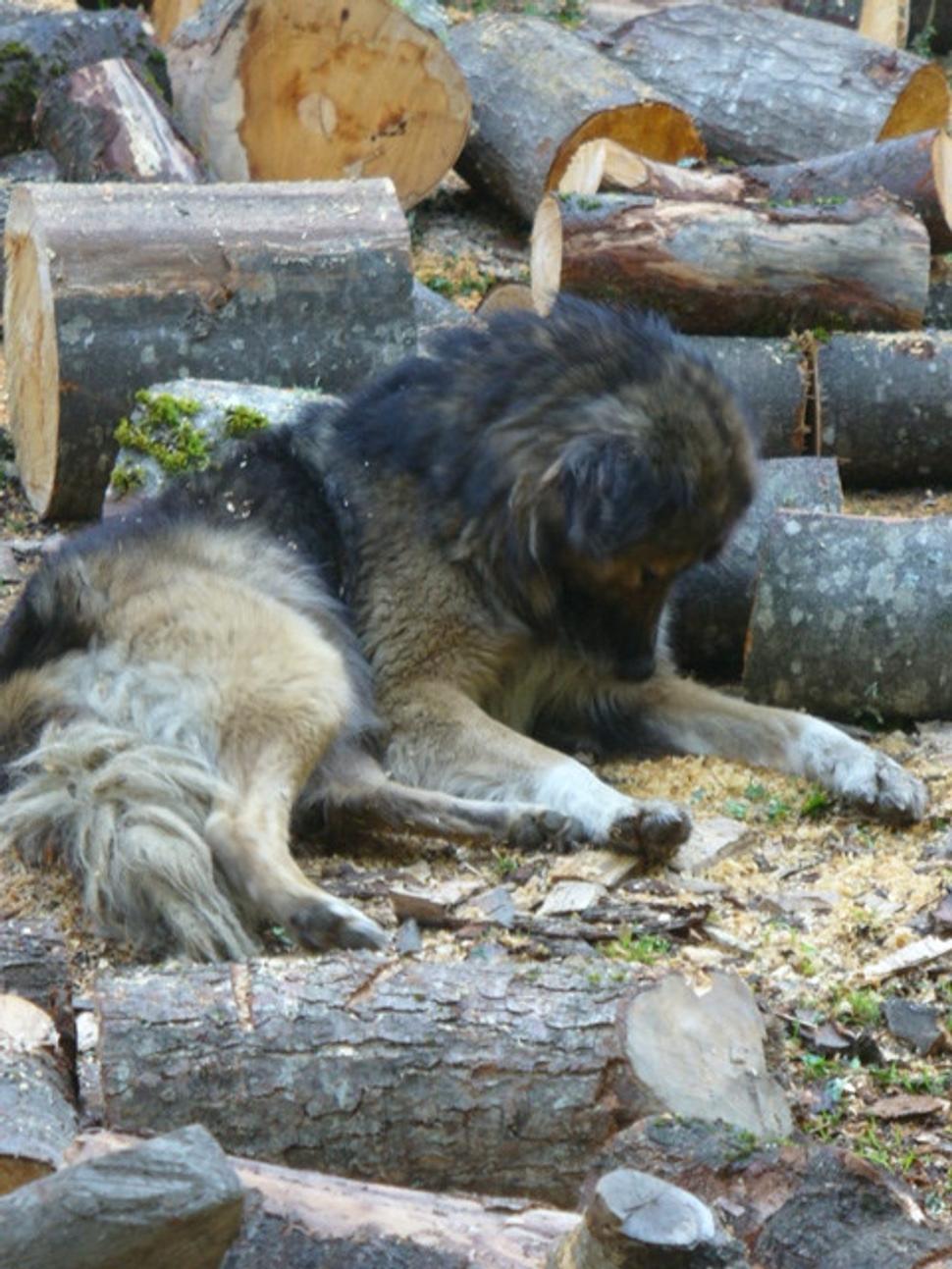 Obrázok blogu