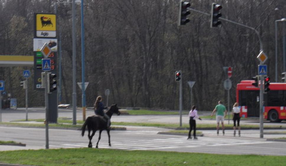 Obrázok blogu