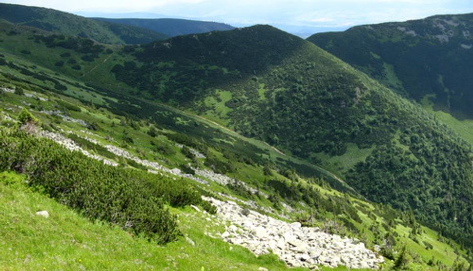 Obrázok blogu