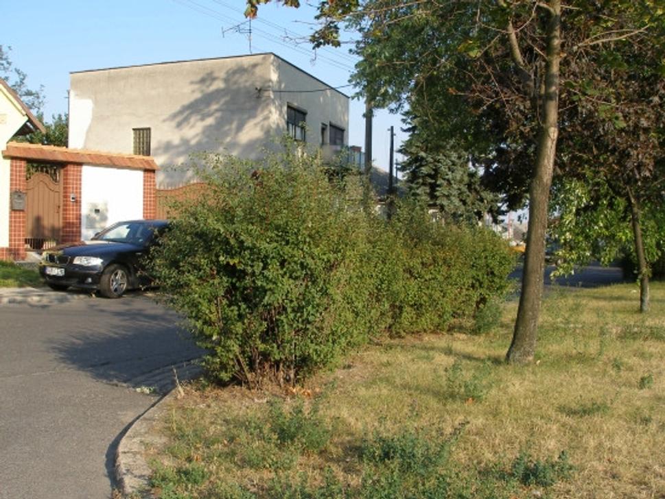 Obrázok blogu