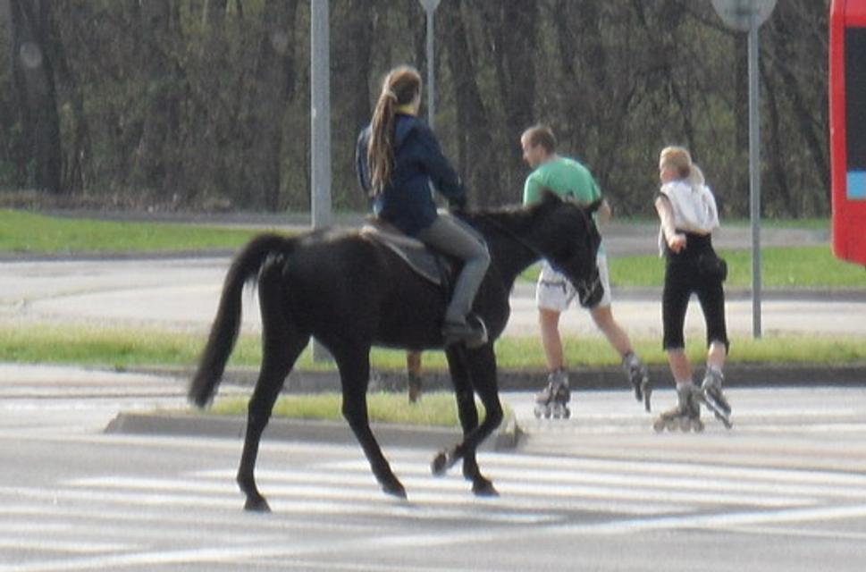 Obrázok blogu