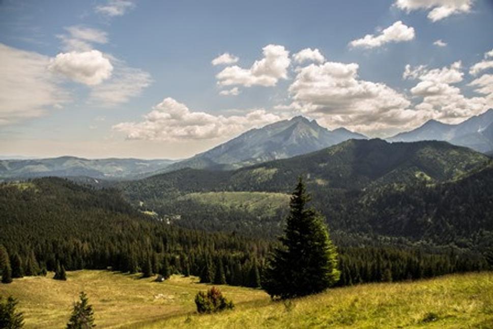 Pohľad na Rusinowu poľanu