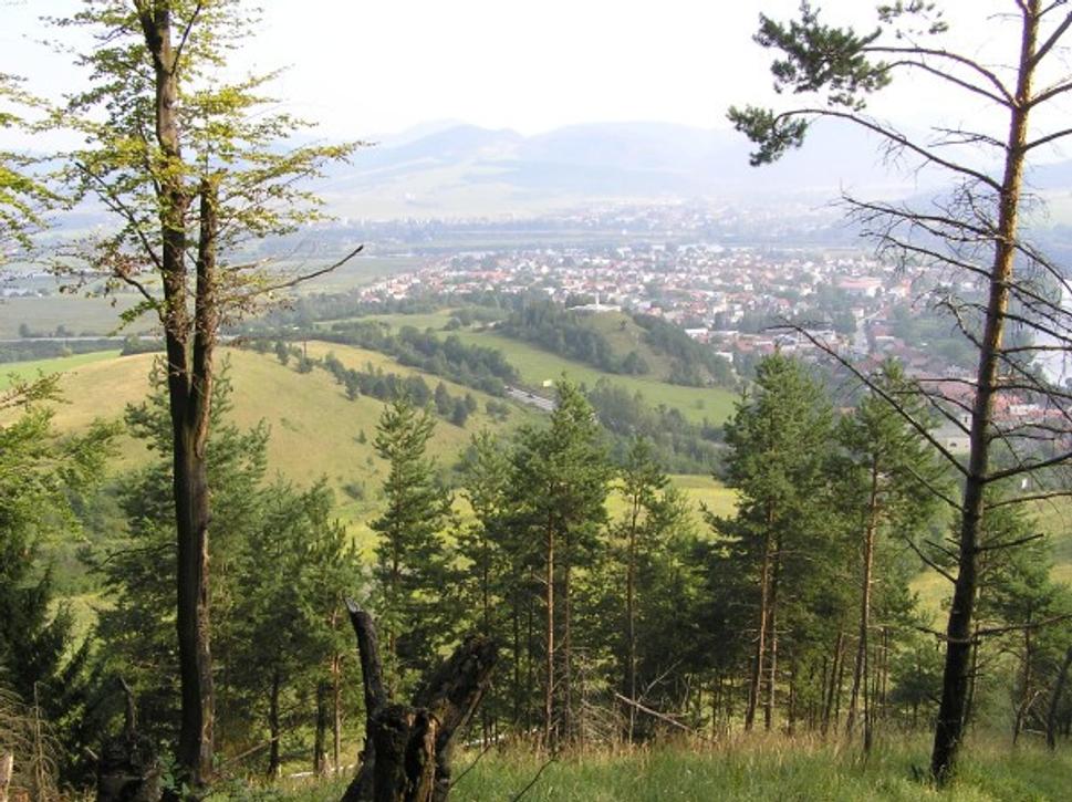 Obrázok blogu
