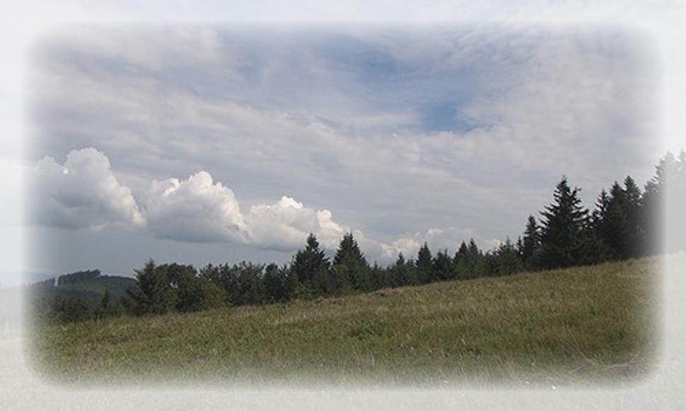 Greguše6