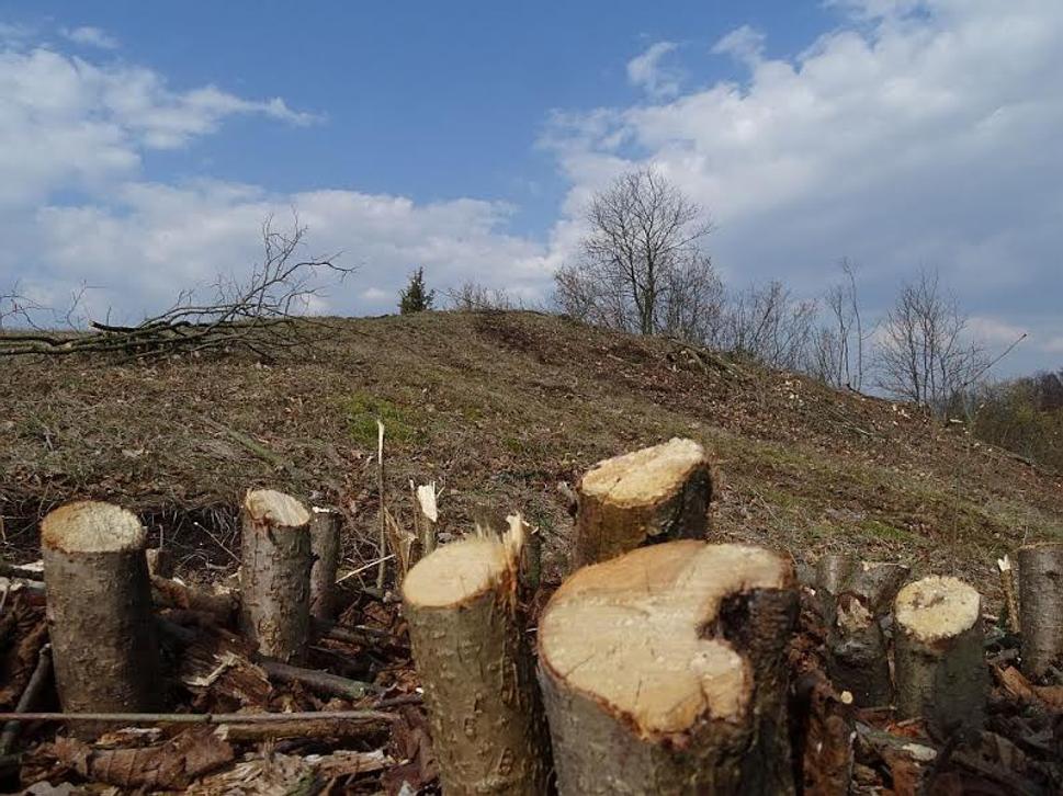Vrchol Stráže nad Iliašom. V teréne nie sú viditeľné ostatky vartovky.