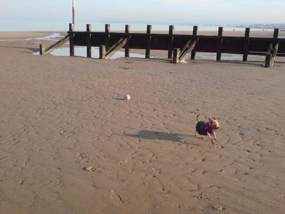 Pohoda na Portobello Beach
