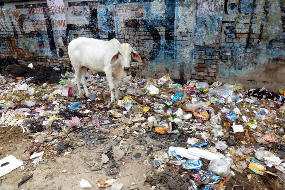 V Indii nepomáhajú boju s odpadom ani reklamy, ani kravy