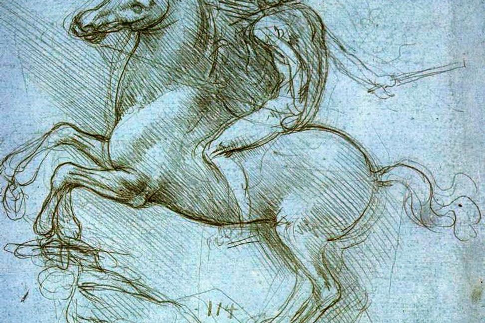 Príbeh Leonardovho koňa