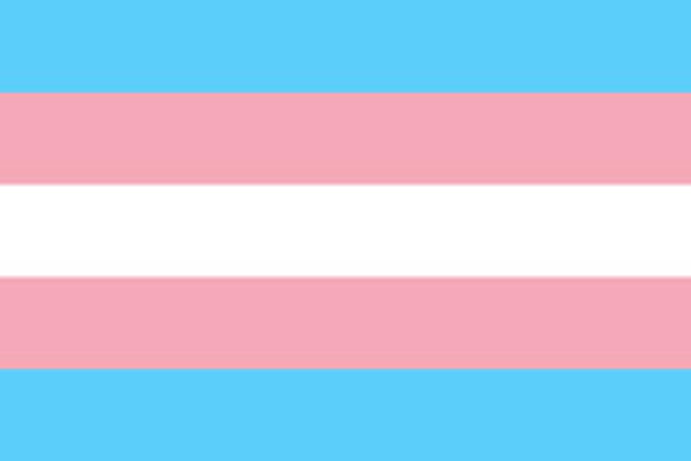 20. November – Pamiatka obetí transfóbie.