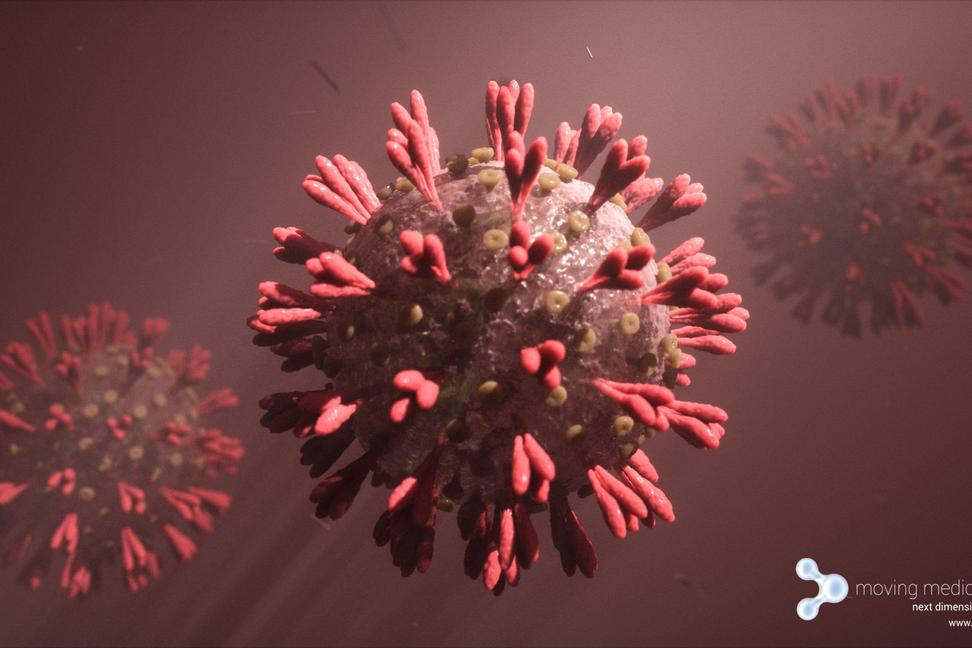 Ako vyzerá strašiak koronavírus?